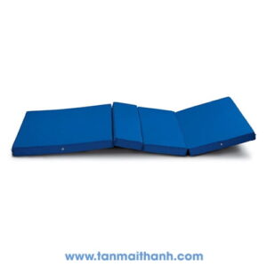 Nệm giường bệnh ALK06-P201 (Aolike - Trung Quốc)