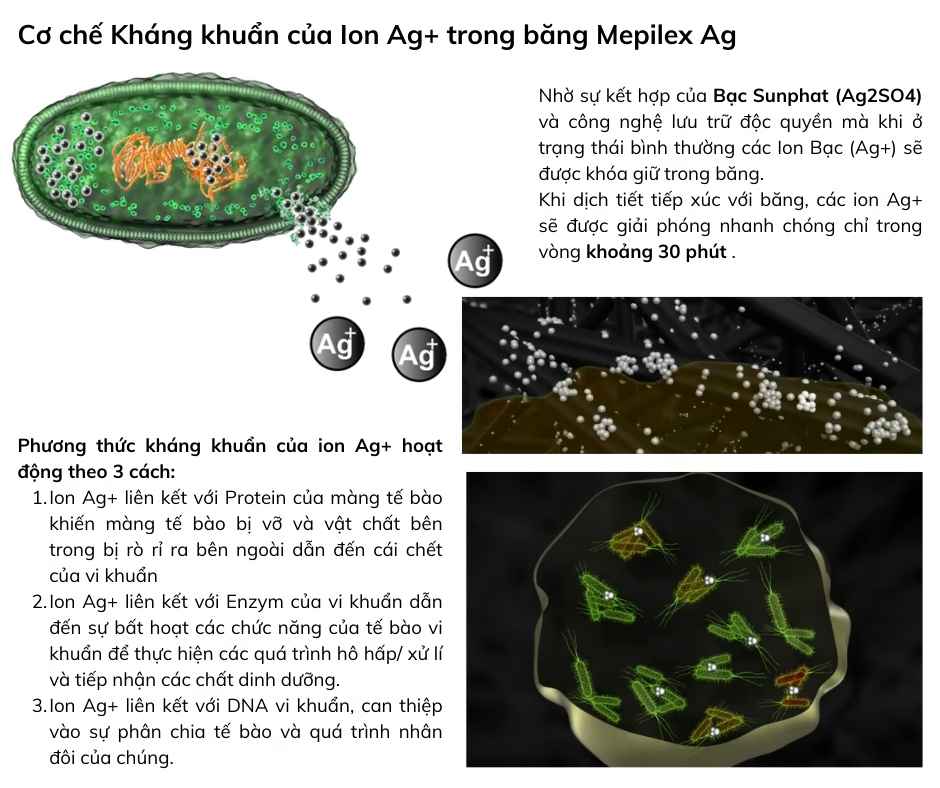 Mepilex Ag duoc cac chuyen gia tin tuong trong dieu tri bong 3